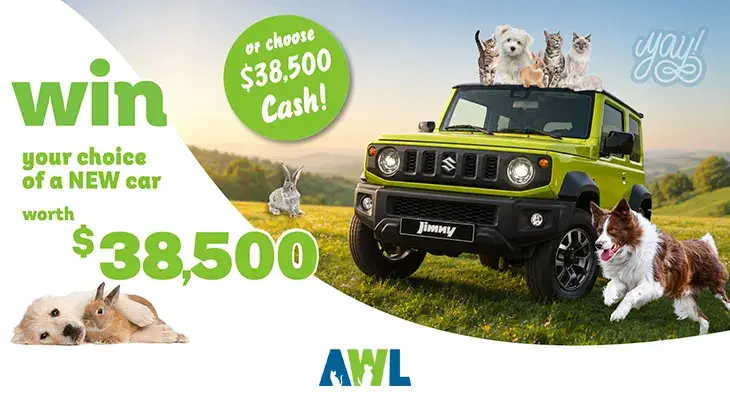 AWL Lottery 2026D