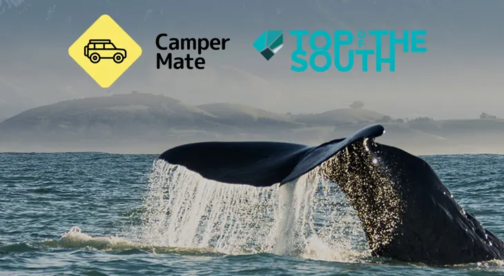 CamperMate - Win a New Zealand Road Trip!