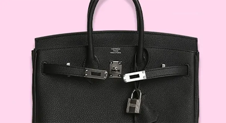 White Fox Boutique - Win a Hermès BirkinBlack Togo Bag!