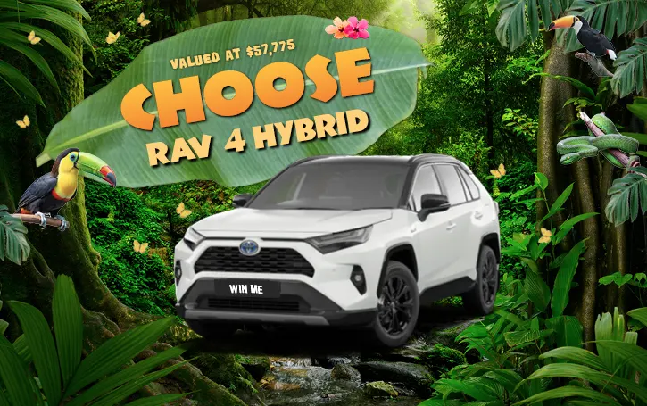 Alannah Madeline Foundation - Win a Toyota RAV4 or $40K Cash!