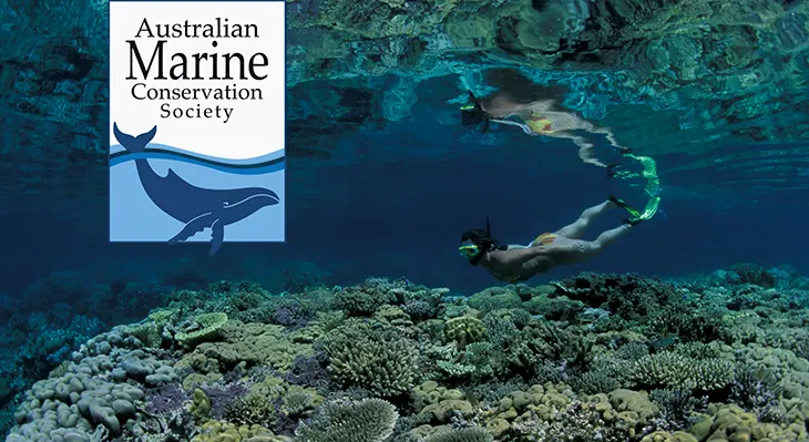 Australian Marine Conservation Society - Win a holiday at Walindi Plantation Resort!