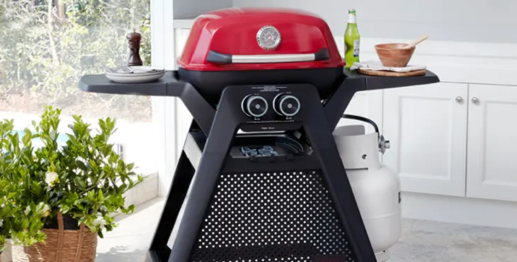 Barbeques Galore - Win a Ziggy Twin Grill BBQ!