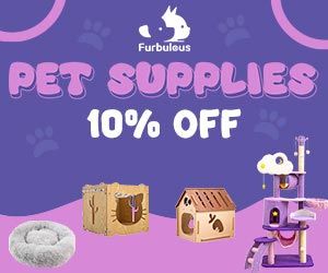 Big Box Store - Pet Supplies - Exclusive 10% Off