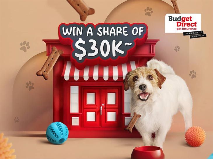 Budget Direct Pet Insurance - Win 1 of 3 $10,000 cash prizes!