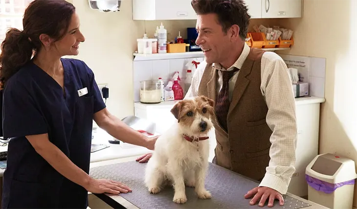 Budget Direct – Win 1 of 5 $250 Pets & Vets eGift cards! Budget Direct - Win 1 of 5 $250 Pets & Vets eGift cards!