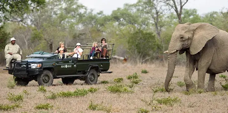 Eclipse Travel - Win a South Africa Safari!