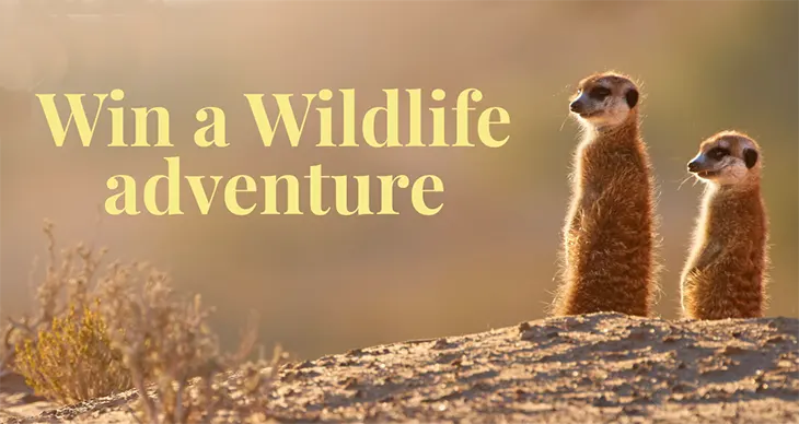 Explore Worldwide - Win 1 of 3 Wildlife Adventures!
