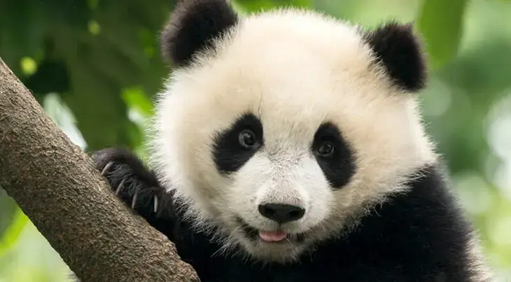 International Traveller - Win 2 return flights to China!