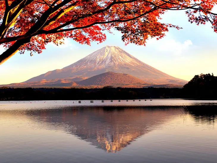 International Traveller - Win a 7-day tour through Japan!