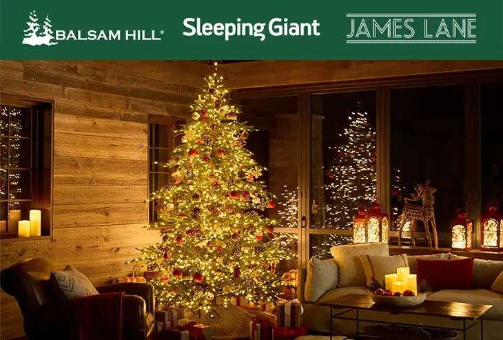 James Lane - Win a Christmas Tree + $2000 in Gift Card!