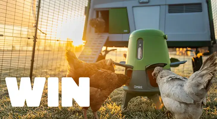 Omlet - Win a Chicken Coop setup!