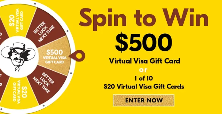 Stan Cash Spin to Win a $500 Visa Gift Cards!