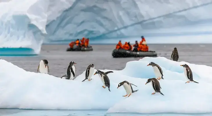 Today Show - Win 1 of 3 trips to Antarctica!